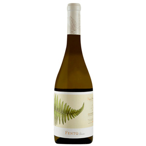 Вино Fento Albarino Rias Baixas 0.75л