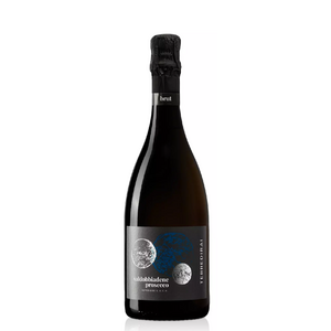 Игристое вино "Terre di Rai" Valdobbiadene Prosecco Superiore Brut DOCG