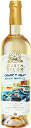 Вино "Costa del Rio" Chardonnay Semidulce, Tierra de Castilla