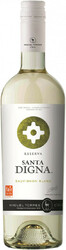 Вино Torres, "Santa Digna" Reserva Sauvignon Blanc, 2019