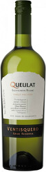 Вино Ventisquero. "Queulat" Gran Reserva. Sauvignon