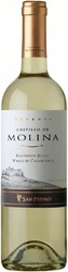 Вино "Castillo de Molina" Sauvignon Blanc Reserva. Valle de Casablanca