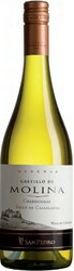 Вино "Castillo de Molina" Chardonnay Reserva