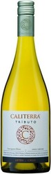 Вино Sauvignon Blanc "Tributo" DO