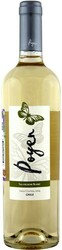 Вино Bodegas y Vinedos de Aguirre. "Poyen" Sauvignon Blanc. Central Valley