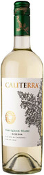 Вино Caliterra. Sauvignon Blanc Reserva DO