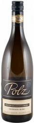 Вино Polz Hochgrassnitzberg Sauvignon Blanc