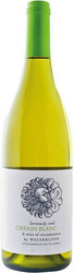 Вино Waterkloof. "Seriously Cool" Chenin Blanc