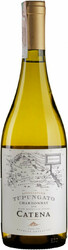 Вино Catena Appellation. "Tupungato" Chardonnay. Mendoza