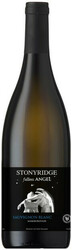 Вино "Fallen Angel" Sauvignon Blanc. Marlborough