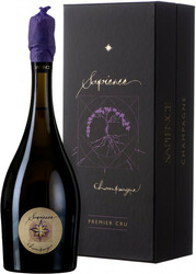 Шампанское "Sapience" Premier Cru Extra Brut. Champagne AOC. gift box