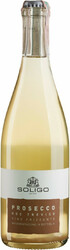 Игристое вино Soligo, Prosecco DOC Treviso Extra Dry, "Col Fondo"