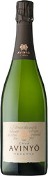 Игристое вино Cava Avinyo. Brut Reserva
