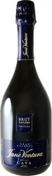 Игристое вино Jane Ventura. "Gran Reserva" Brut Nature. Cava DO
