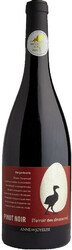 Вино Anne de Joyeuse. "Gargantuavis" Pinot Noir. Pays d'Oc IGP