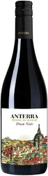 Вино "Anterra" Pinot Noir. Terre Siciliane IGT