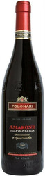 Вино Folonari Amarone Della Valpolicella DOC