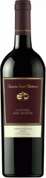 Вино Tenuta Sant'Antonio, "Capitel del Monte" Cabernet Sauvignon, Veneto IGT, 2006