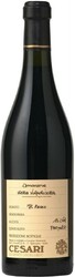 Вино Gerardo Cesari, "Il Bosco" Amarone della Valpolicella Classico DOC, 2009