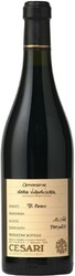 Вино Gerardo Cesari. "Il Bosco" Amarone della Valpolicella Classico DOC