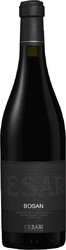 Вино Gerardo Cesari, "Bosan" Amarone della Valpolicella DOC, 2006