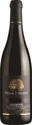 Вино Sartori, "Villa Molino" Amarone della Valpolicella DOC, 2015