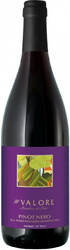 Вино Castellani. "Il Valore" Pinot Nero delle Venezie IGT