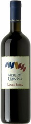 Вино Santa Sofia. Merlot Corvina. Veneto IGT
