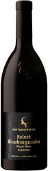 Вино Hans Rottensteiner. Blauburgunder "Select" Riserva. Alto Adige DOC