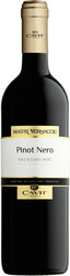 Вино "Mastri Vernacoli" Pinot Nero, Trentino DOC, 2019