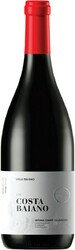 Вино Villa Raiano. "Costa Baiano". Irpinia Campi Taurasini DOC