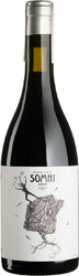 Вино "Somni". Priorat DOQ