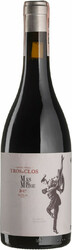 Вино "Tros de Clos". Priorat DOQ