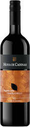 Вино Vicente Gandia, "Hoya de Cadenas" Organic Tempranillo