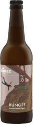 Пиво Konix Brewery, "Bungee", American IPA, 0.5 л
