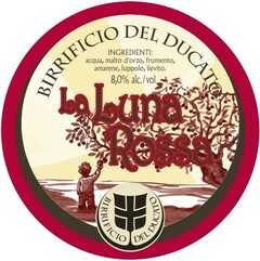 Пиво Birrificio del Ducato, "La Luna Rossa", 2013, in KeyKeg, 20 л