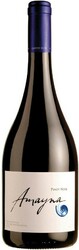 Вино Vina Garces Silva Limitada. "Amayna" Pinot Noir