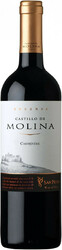 Вино "Castillo de Molina" Carmenere Reserva