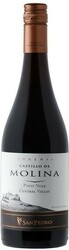 Вино "Castillo de Molina" Pinot Noir Reserva