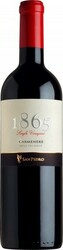 Вино San Pedro 1865 Carmenere Reserva 2007