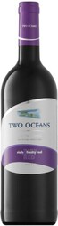 Вино "Two Oceans" Rich and Fruity Red, 2016