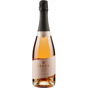 Игристое вино Cavas Masachs. "Selecta" Brut Rose. Cava DO