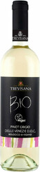 Вино Tombacco. "Trevisana" Pinot Grigio delle Venezie D.O.C. Bio Vegan