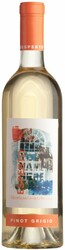 Вино "Esperto". Pinot Grigio delle Venezie IGT