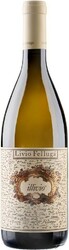 Вино "Illivio", Colli Orientali Friuli DOC, 2017