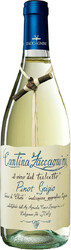 Вино Zaccagnini. "Tralcetto" Pinot Grigio. Terre di Chieti IGT