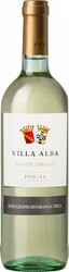 Вино Botter. "Villa Alba" Pinot Grigio. Puglia IGT