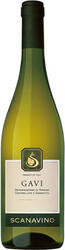 Вино "Scanavino" Gavi DOCG