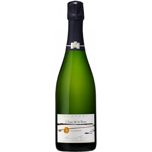 Шампанское Champagne Francoise Bedel, "L'Ame de la Terre" Extra Brut, 2006
