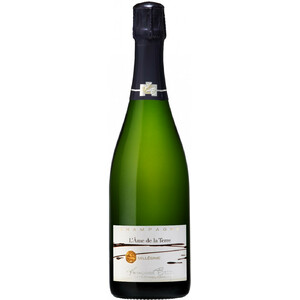 Шампанское Champagne Francoise Bedel. "L'Ame de la Terre" Extra Brut